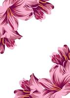 holiday invitation or greeting card template with a plant design of various pink lily on both sides vector