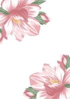 holiday invitation or greeting card template with a plant design of various magnolia on both sides vector