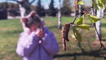 The blurred figure of a sneezing girl behind spring birch leaves on a sunny spring day video