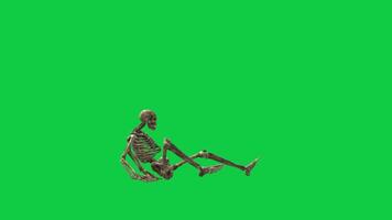 Dead skeleton get up 3d animation isolated on green screen background video