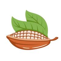 Cocoa beans icon isolated on white background vector