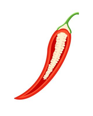 Red chili pepper icon in cartoon style