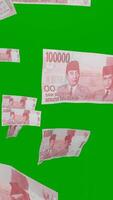 Rupiah money flying with green screen or chroma key 4k full high resolution portrait background video
