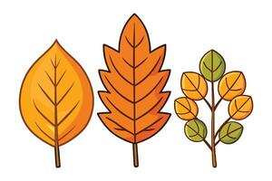 Bright and vibrant autumn leaves with warm colors, perfect for adding a cozy fall touch to your projects and designs for the season vector