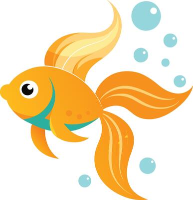 Gold Fish in water