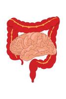 This image illustrates the connection between the brain and the gut's nervous system, known as the second brain. eps 10 vector