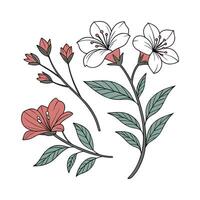 Rustic Hand-Drawn Botanical Sticker Set vector
