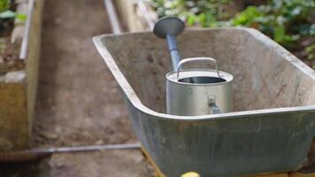 Metal tools and instruments wheelbarrow and watering can in greenhouse. video