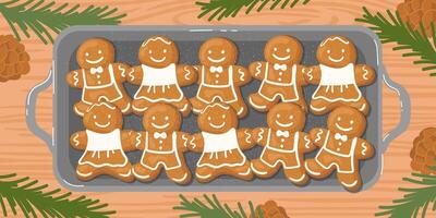 A baking tray with hot gingerbread cookies on the table, surrounded by fir branches and pinecones. vector