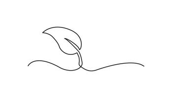 leaf continuous one line drawing nature vector