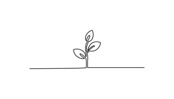 growing sprout continuous one line drawing single line drawing vector