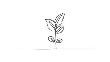 growing sprout continuous one line drawing vector