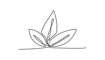 leaf continuous one line drawing natural environment vector