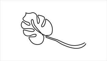 monstera leaf continuous one line drawing simple minimalist art vector