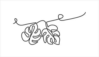 monstera leaf continuous one line drawing illustration abstract vector