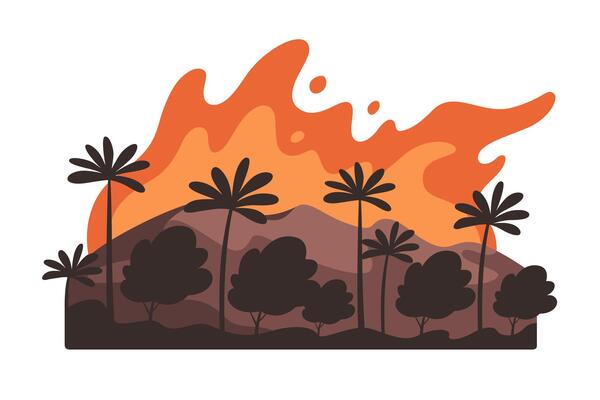 Wildfire, natural disaster. Cataclysm, catastrophe, destruction of nature. Forest in flame, dry weather, danger of drought.