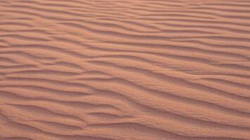 Background with nature sand dunes in red desert in United Arab Emirates. video