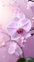 Orchid-inspired hues of lilac and cream, with gently moving outlines and ample room for design elements. video