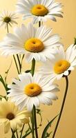 Minimalist daisies in muted yellow and white tones, softly transitioning in and out of view. video