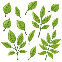 set Eco icon with green leaf vector