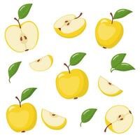 set of delicious ripe pears vector