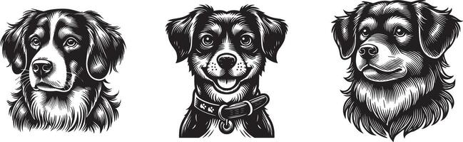 Three black and white dog heads with different expressions vector