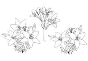 Small set of simple bouquets with lilies. Doodle style. vector