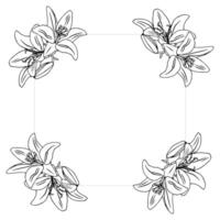 Frame with lilies. vector