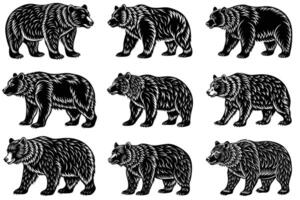 set of the bears on white background vector