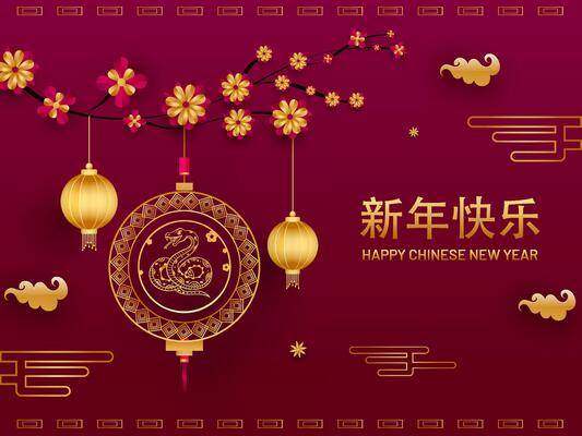 Golden Happy Chinese New Year Written Text in Chinese Language with Zodiac Snake Frame Hang, Lanterns Hang, Blossom Branch on Gradient Red and Pink Background.