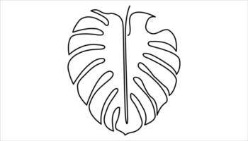 Monstera leaf continuous one line drawing vector