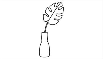 Continuous Line Drawing of a Monstera plant vector