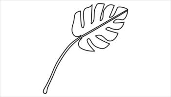 Monstera continuous one line art drawing illustration vector