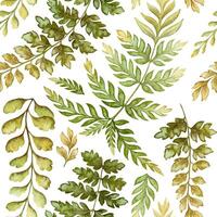 Fern leaves seamless pattern on white background. Hand drawn watercolor botanical surface with textured prehistoric foliage. Perfect for the use of ecological material and sustainable designs. vector