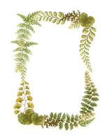 Rectangular wreath with fern leaves botanical card template in earth tone. Hand drawn watercolor elegant floral frame. Perfect for the use of ecological material and sustainable designs. vector