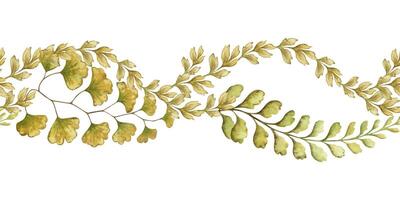 Fern leaf curved seamless border in the earth green tone. Hand drawn watercolor botanical element with textured foliage. Perfect for the use of ecological material and sustainable designs. vector