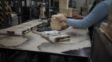 Workers Assembling Wooden Components in a Factory Workshop video