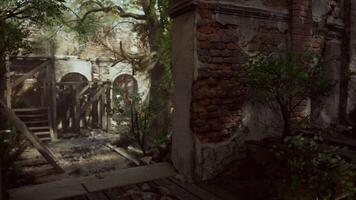 Ruins of a European mansion overgrown with vegetation in a serene setting video