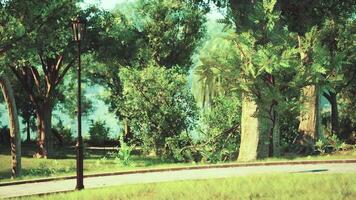 A peaceful morning stroll through a lush park filled with greenery and trees video