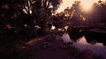 Tranquil sunset over a serene river surrounded by lush trees in nature video