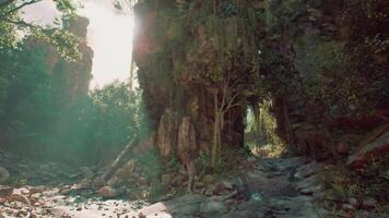 Exploring the lush forest and rocky landscape in Thailand at golden hour video
