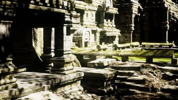 Exploring the ancient temple ruins in Cambodia surrounded by lush greenery video