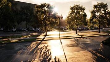 Late afternoon sunlight casts shadows on a quiet parking lot with trees video