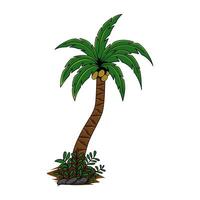 Illustration of a single coconut palm tree on a plain white background, ideal for sticker use. Design element for visual projects. vector