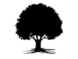 Simple Black Trees and root with leaves look beautiful and refreshing. vector