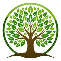 A Tree's Roots and Green Leaves Embraced by a Circular Frame vector