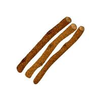 Colorful Textured Illustration of Wooden Sticks Isolated on White Background vector