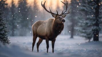 A majestic elk stands in a snowy landscape, surrounded by trees and softly falling snowflakes. photo