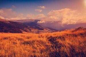 Golden Sunset Over Mountain Meadow photo