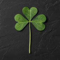 Close up of a three leaf clover on a dark background. photo